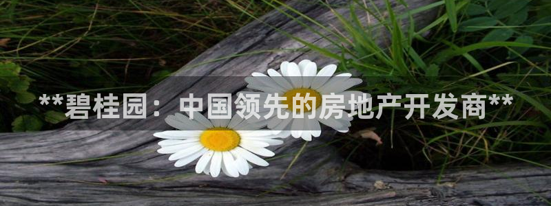 万向娱乐注册资金多少合适