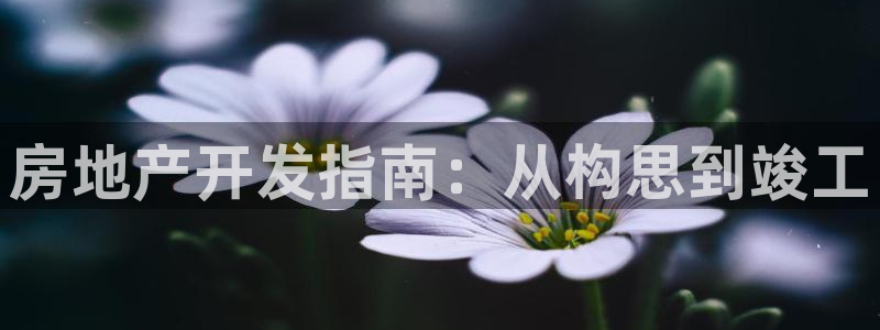 万向娱乐平台注册流程及费用