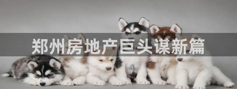 万向娱乐平台注册地址是哪里