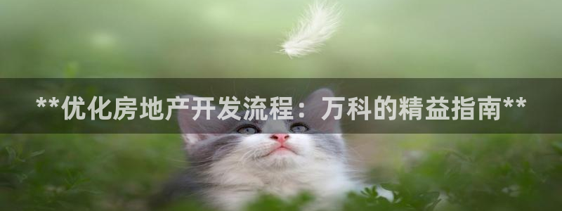 万向娱乐注册登录开户怎么弄