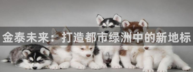 万向娱乐注册登录不上怎么回事