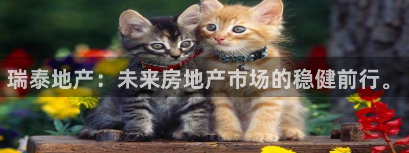 万向娱乐平台注册流程图