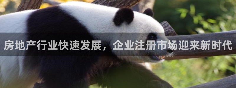 万向娱乐平台注册条件有哪些