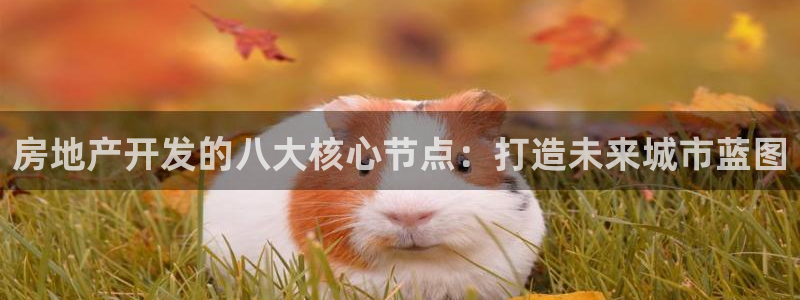 万向娱乐平台注册地址在哪里