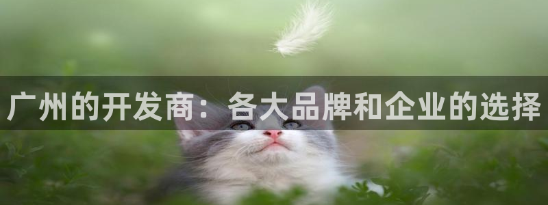 万向娱乐注册登录开户