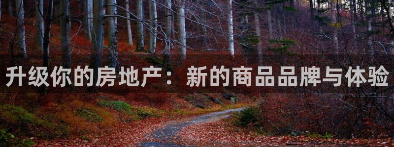 万向娱乐平台代理怎么样可靠吗