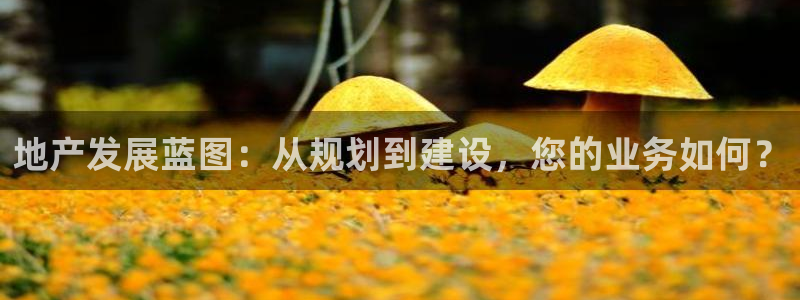 万向娱乐平台注册流程及费用