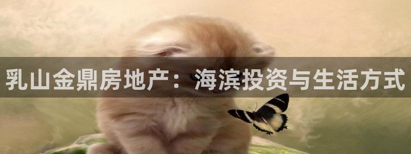 万向娱乐的联系方式是什么