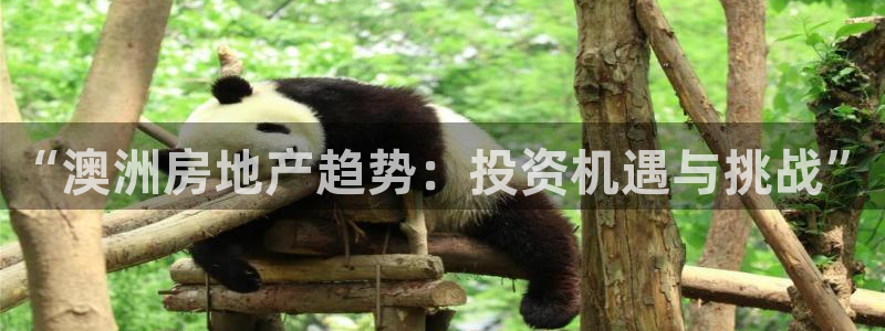 万向娱乐注册登录不上怎么办