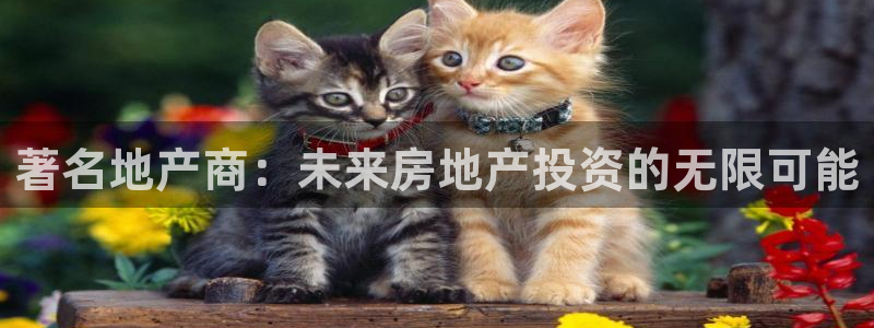 万向娱乐的联系方式