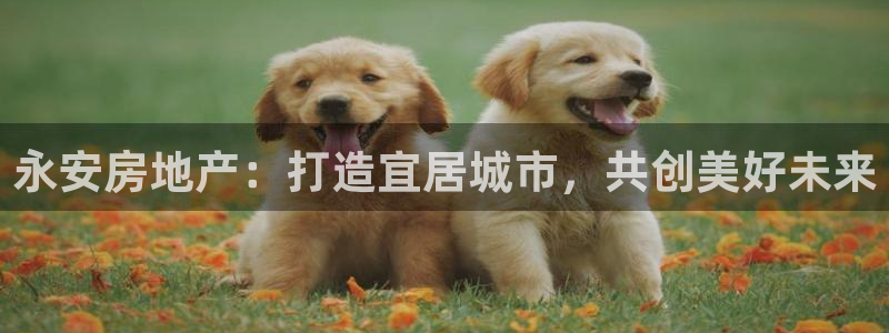 万向娱乐注册登录不上