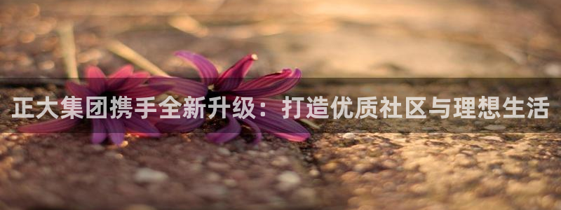 万向娱乐网址是什么