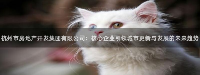 万向娱乐注册资金多少钱