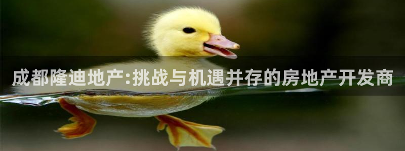 万向娱乐的494o3 主管