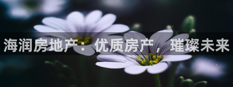 万向娱乐注册资金多少钱