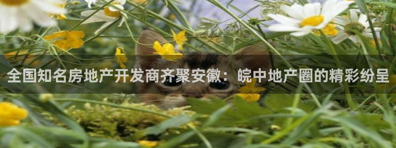 万向娱乐灯333OO