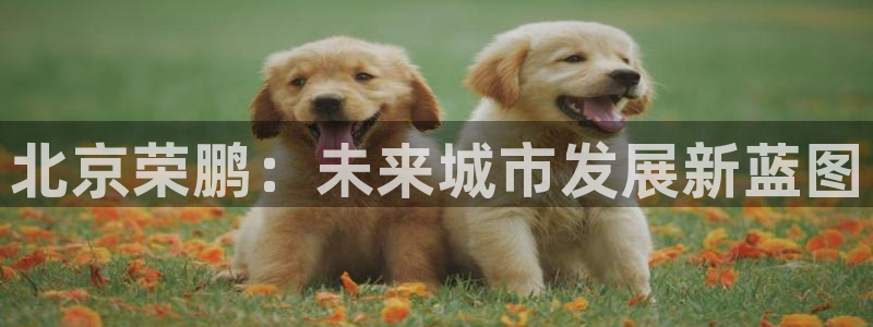 万向娱乐的注册登录是什么