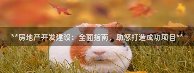 万向娱乐平台代理怎么样赚钱