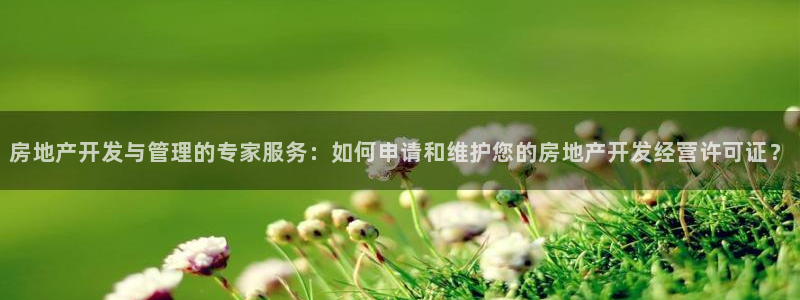 万向娱乐网址是什么