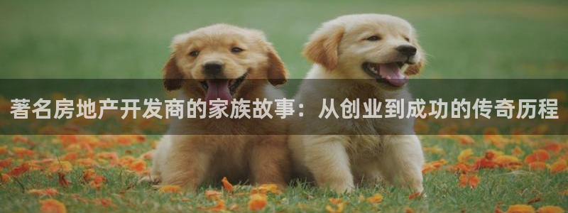 万向娱乐平台代理怎么做赚钱