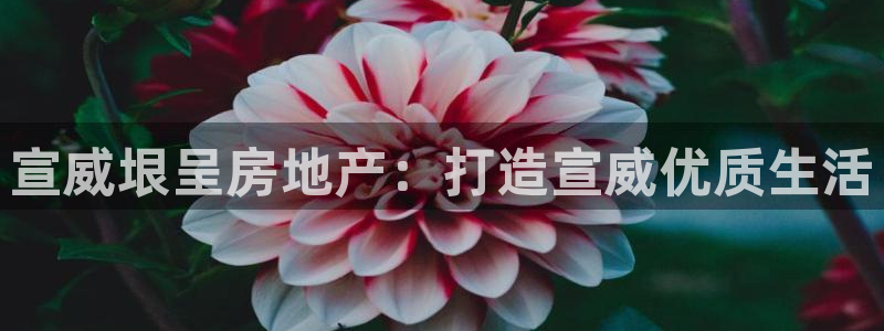 万向娱乐平台代理怎么样赚钱