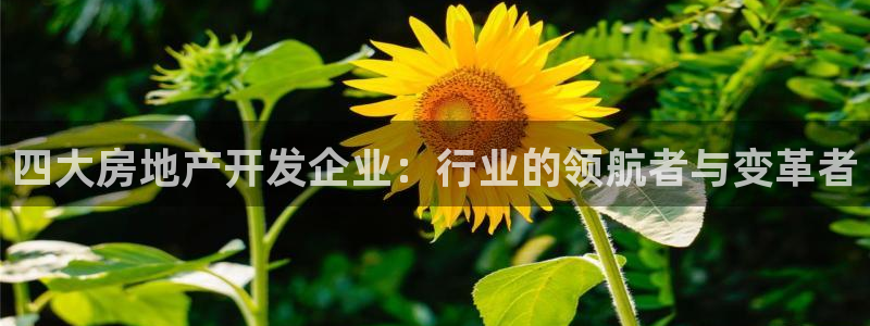 万向娱乐平台怎么下载