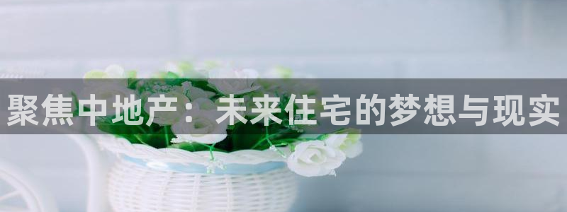 万向娱乐是哪个旗下