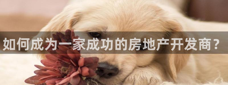 万向娱乐代理好看视频