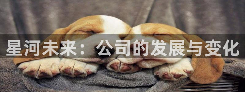 万向娱乐注册资金多少合适