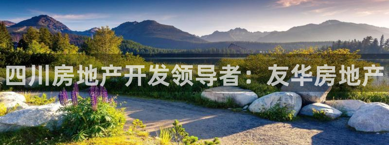 万向娱乐app下载安装