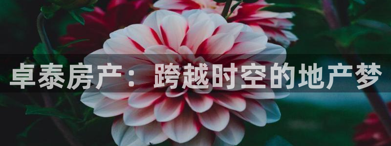 万向娱乐注册登录开户