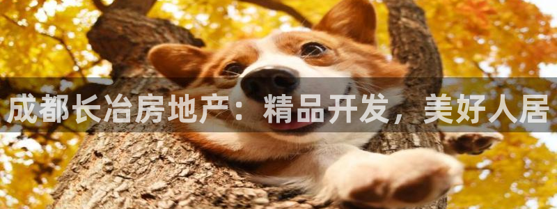 万向娱乐注册登录不上怎么回事