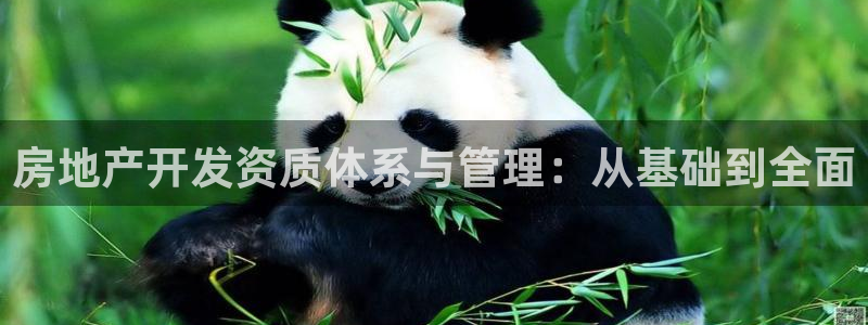 万向娱乐注册主管