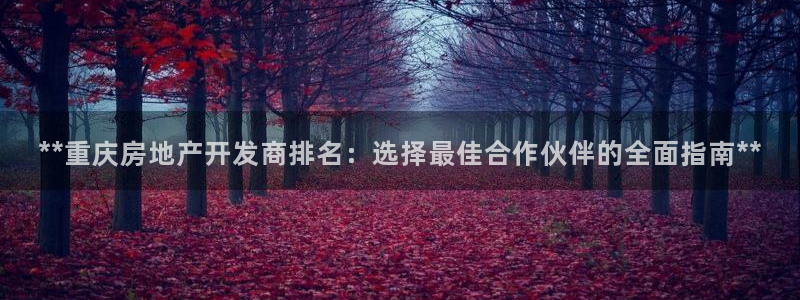 万向娱乐平台代理多少钱一个月