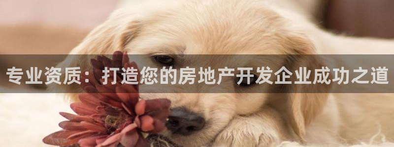 万向娱乐平台注册流程及费用