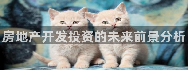 万向娱乐平台代理怎么做的