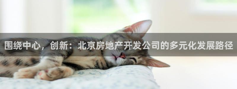 万能娱乐平台直招代理