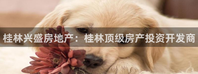 万向娱乐登陆官网